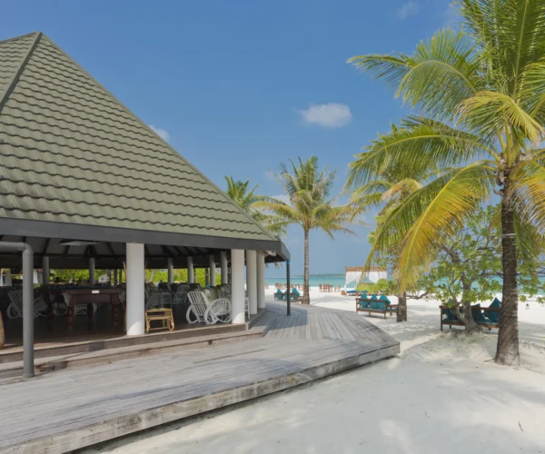 Holiday Island Resort & Spa — отдых на Мальдивах в гармонии с природой